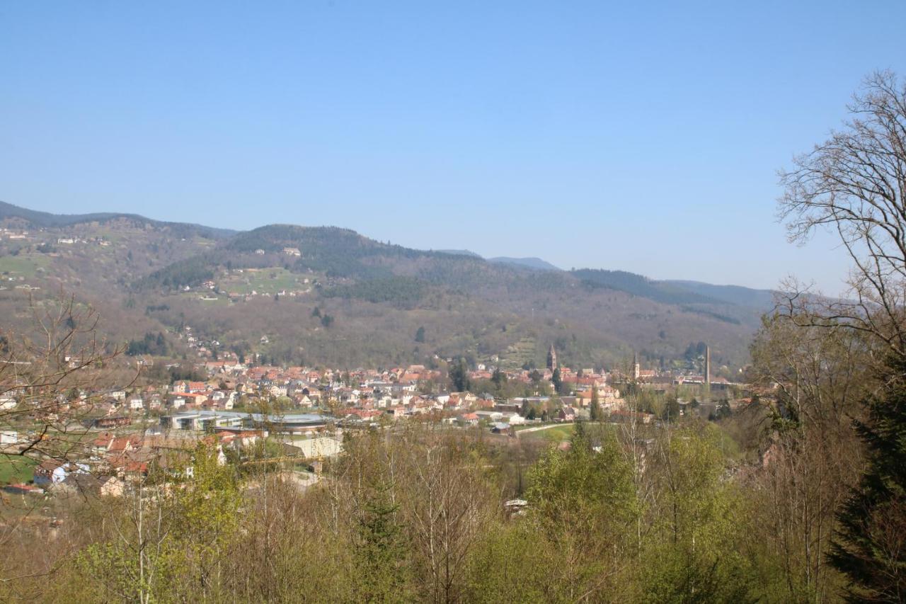 Gite Le Chataignier Luttenbach-près-Munster Dış mekan fotoğraf